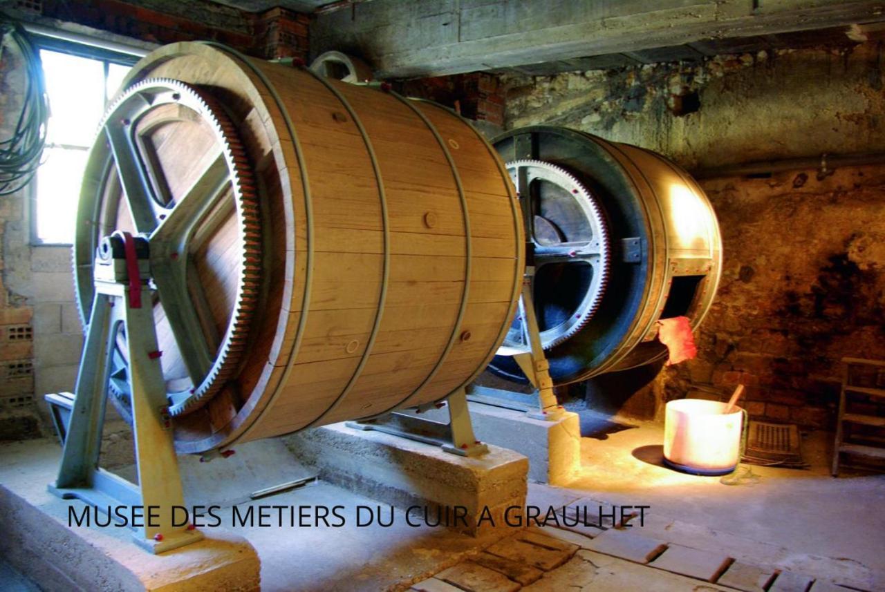 Loft Cosy - Hypercentre - Sauna - 200M2 - Wifi Graulhet Exterior photo